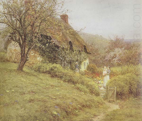 Helen Allingham,RWS South Country Cottage (mk46) china oil painting image